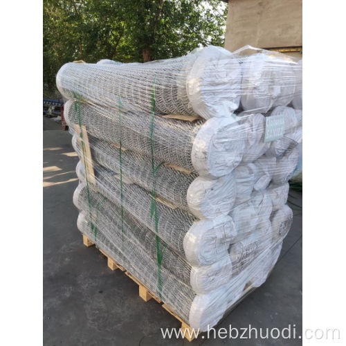 Hot Dipped Galvanized Chain Link Fence For Sale